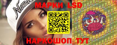 скорость Дубна