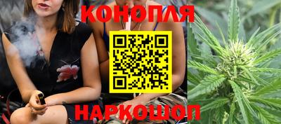 скорость Дубна