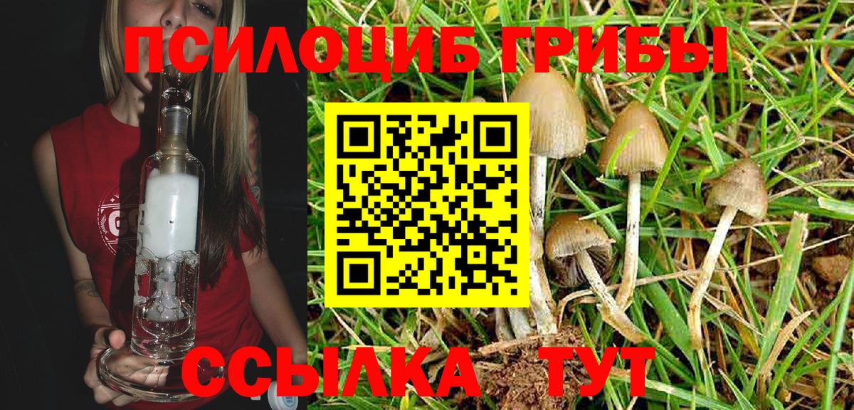 Галлюциногенные грибы Psilocybine cubensis  Галлюциногенные грибы ЛСД  Новодвинск  Вход с VPN 