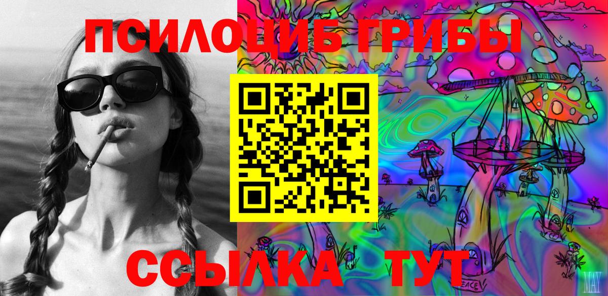 Галлюциногенные грибы Psilocybine cubensis Новодвинск